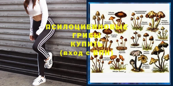 амф Приозерск