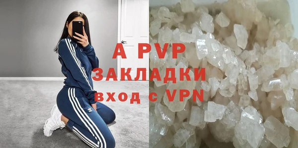 ГАЛЛЮЦИНОГЕННЫЕ ГРИБЫ Покачи