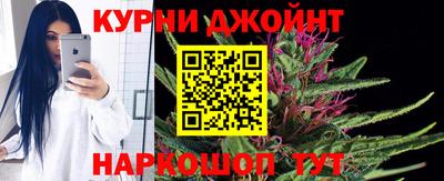 гашик Гусь-Хрустальный