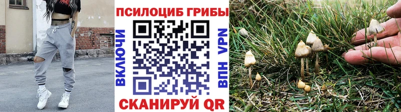 Псилоцибиновые грибы GOLDEN TEACHER  Сафоново 