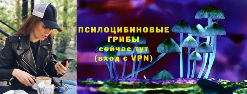 Псилоцибиновые грибы прущие грибы  цены   Сафоново 