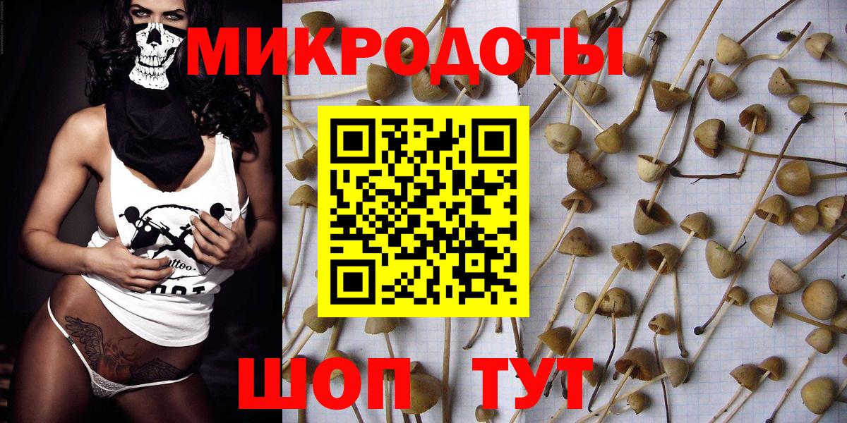 Псилоцибиновые грибы Psilocybine cubensis Сафоново