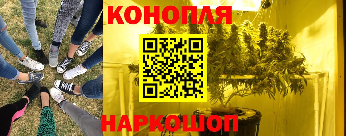 Конопля план Сафоново